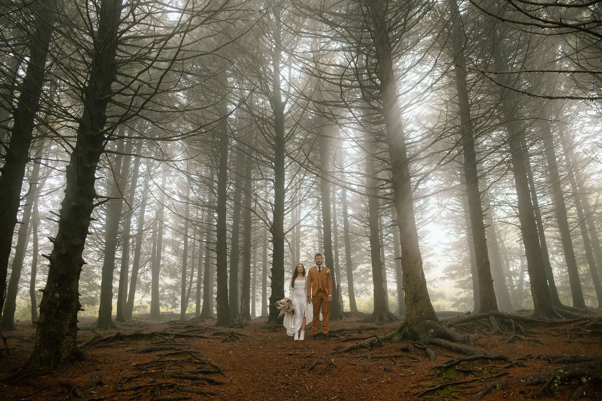couple holding hands side by side in the middle of the woods over at Black Basalm Knob, Blue Ridge Parkway, North Carolina Elopement